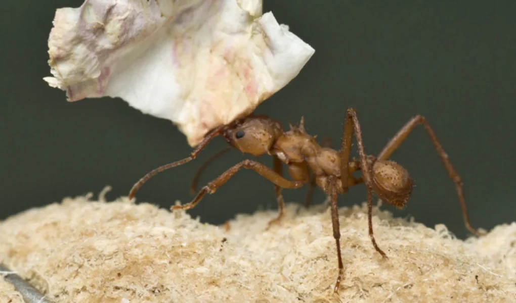 kimzolciakwedding.com