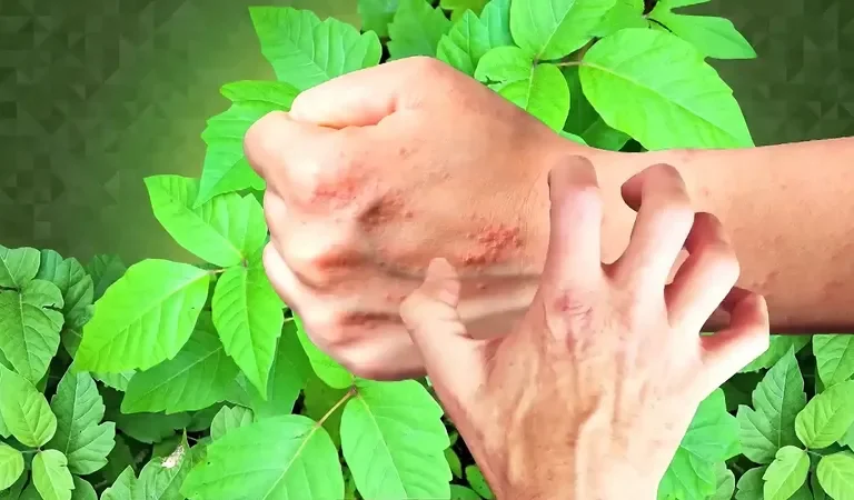 kimzolciakwedding.com