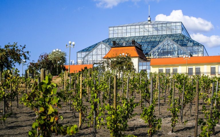 kimzolciakwedding.com