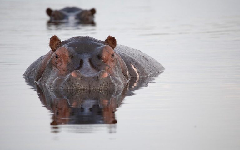 kimzolciakwedding.com